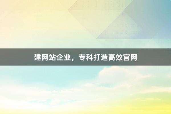 建网站企业，专科打造高效官网