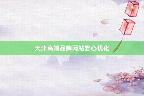 天津高端品牌网站野心优化