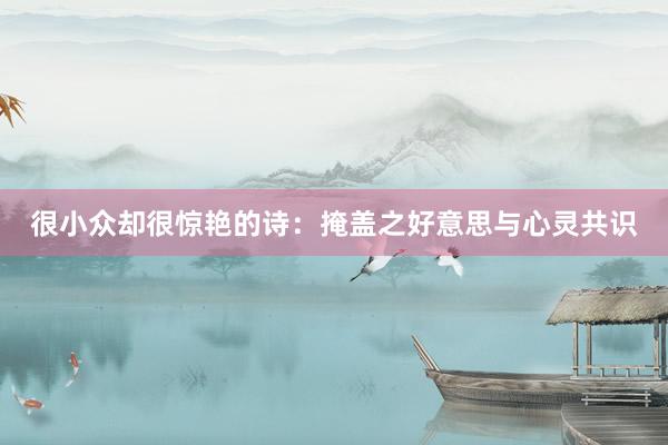 很小众却很惊艳的诗：掩盖之好意思与心灵共识